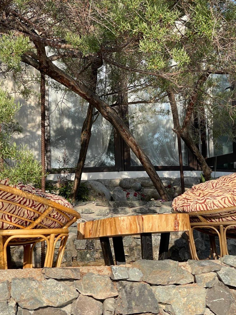 Ak-Tengir Yurt Resort Tossor Exterior foto